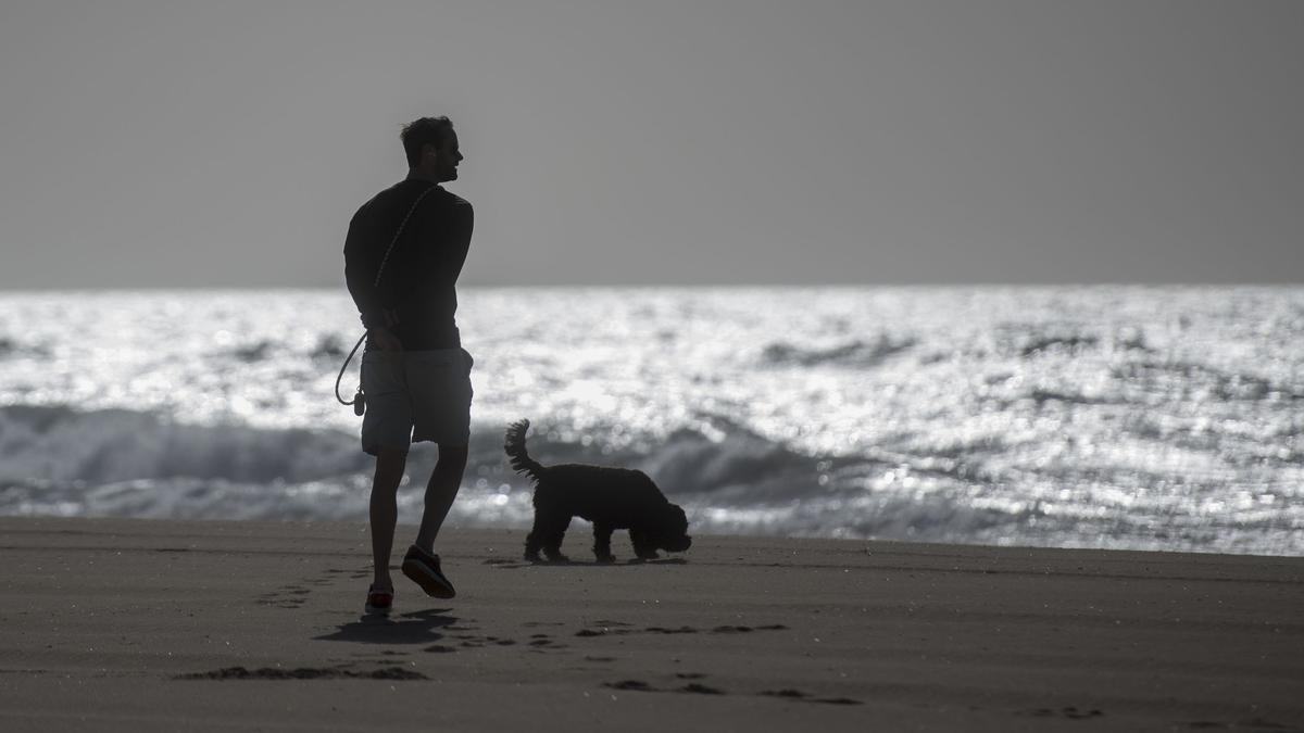 Un hombre pasea junto a su perro en la playa del Baixador de Castelldefels