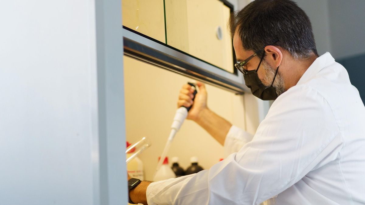 El profesor titular de Toxicología de la Universidad de La Laguna, Ángel José Gutiérrez