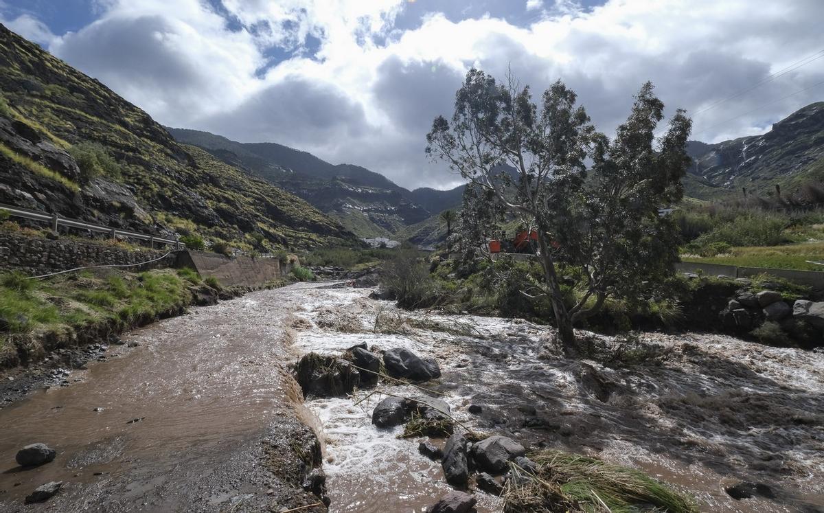 Las imágenes de la borrasca Therese en Gran Canaria (21/03/26)