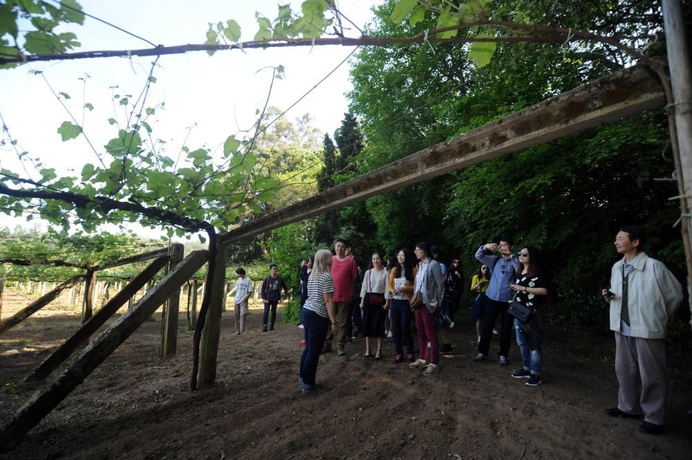 Estudiantes chinos visitan el jardín botánico de Q