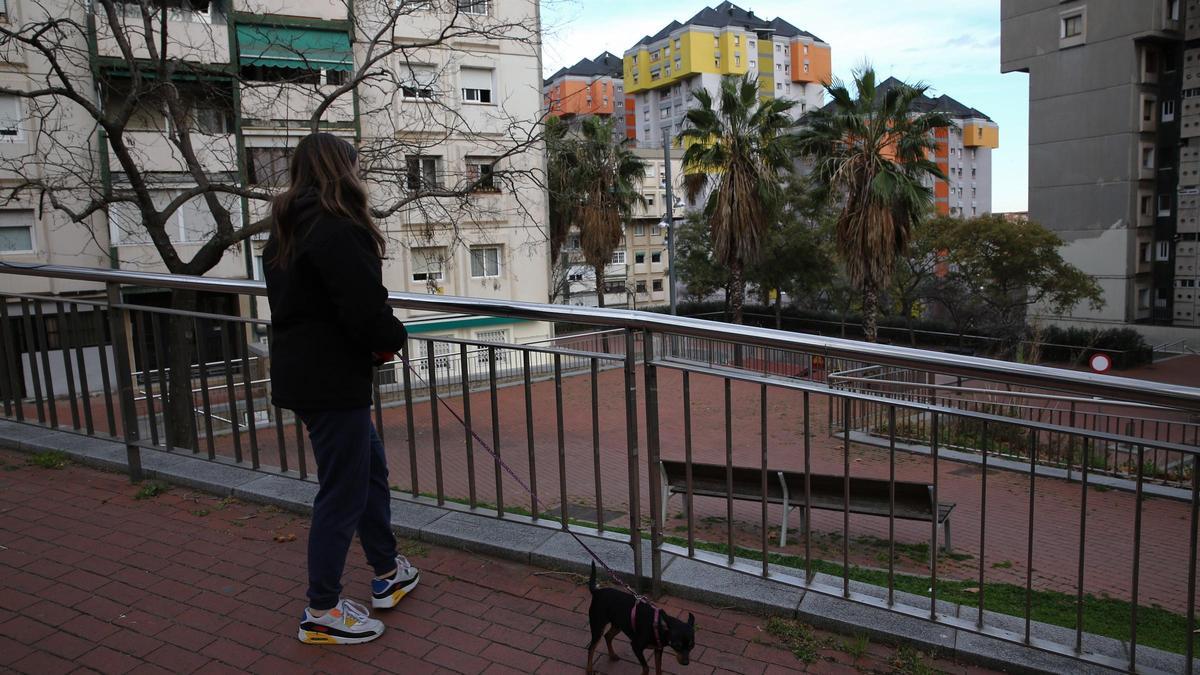 Una joven pasea a su perro en el barrio de Canyelles, en Nou Barris