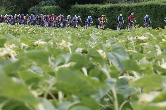 Decimoctava etapa de la Vuelta a España,