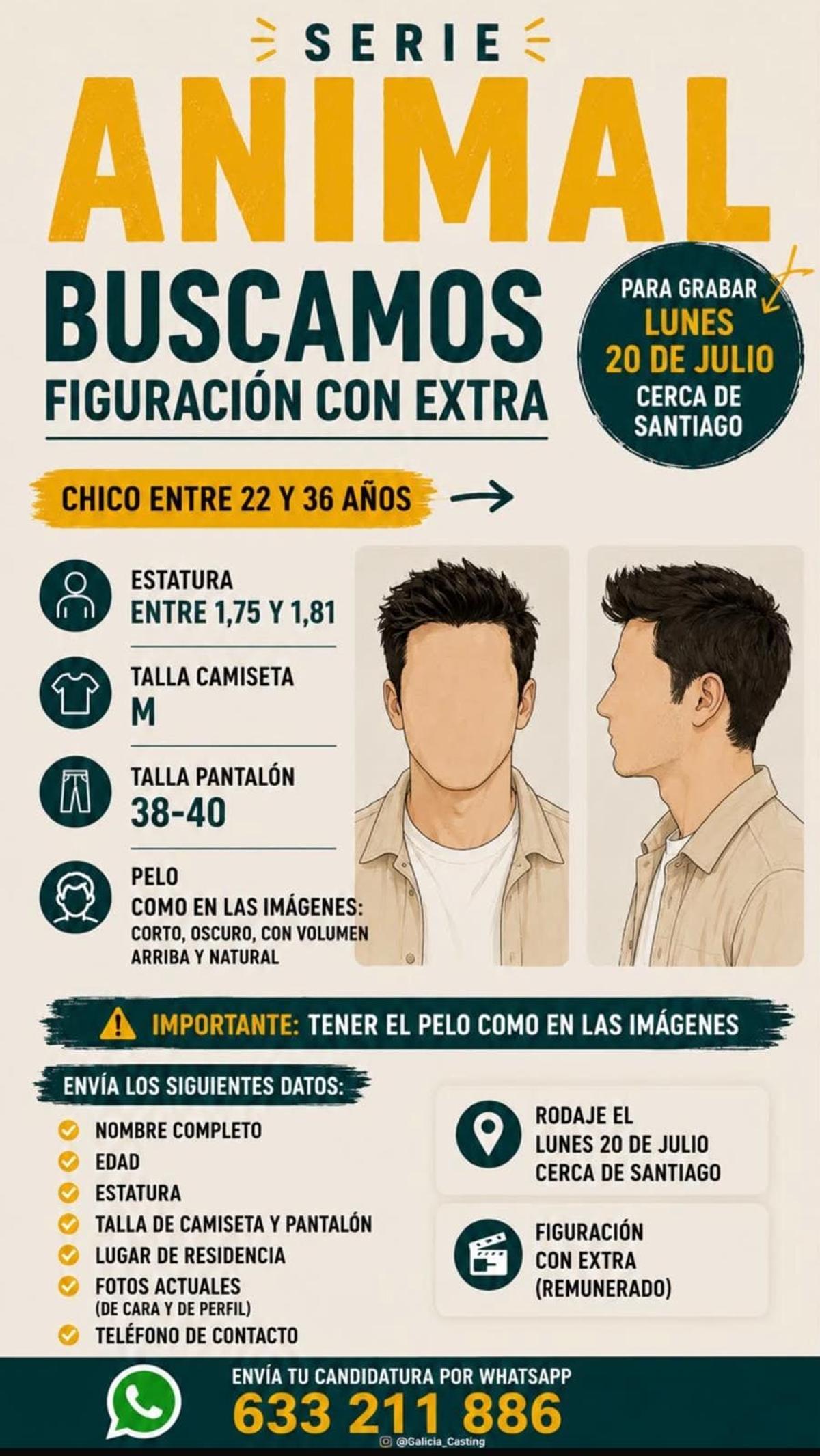 Proceso de selección de figurantes para los nuevos capítulos de 'Animal', serie de Netflix ambientada en Santiago y alrededores.