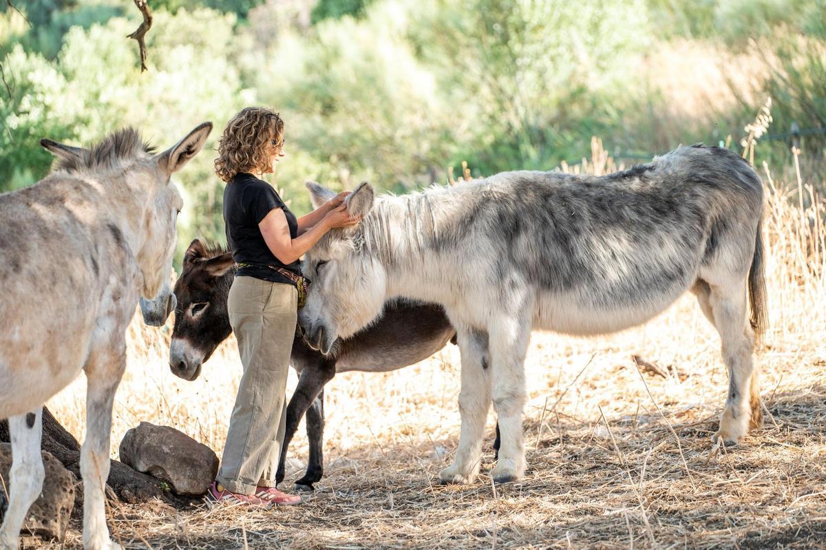 Baño de bosque con burros andaluces
