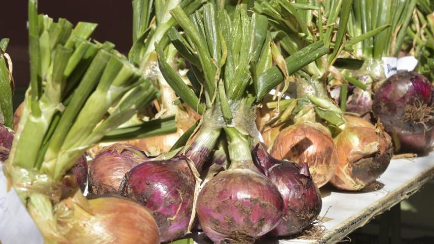 El superalimento que es un descongestionante y adelgazante natural