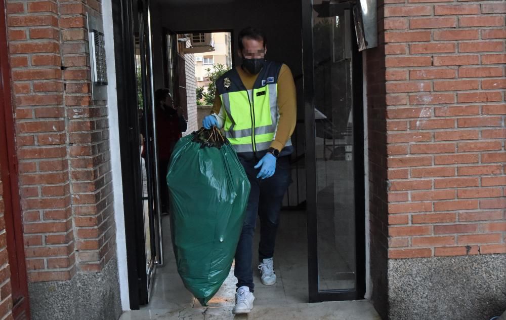 Hallan 300 plantas de marihuana en una casa del barrio del Infante de Murcia