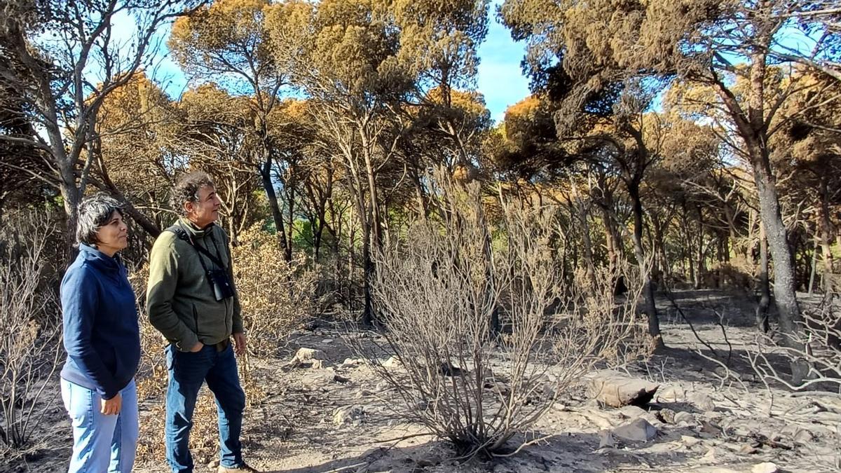 La zona afectada per l'incendi, durant la visita d'ahir dels tècnics.