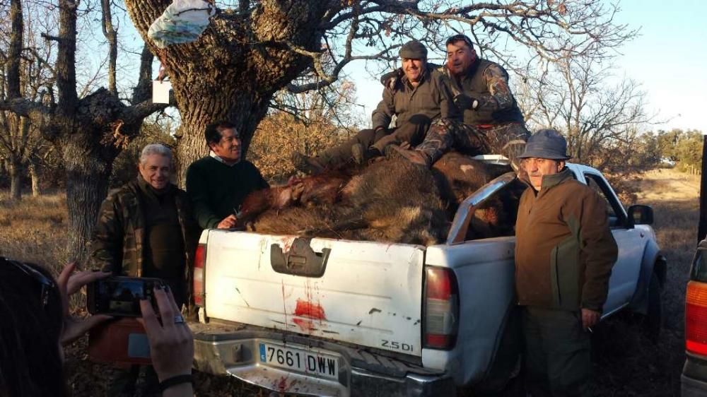 Soguino: La meca de los jabalíes