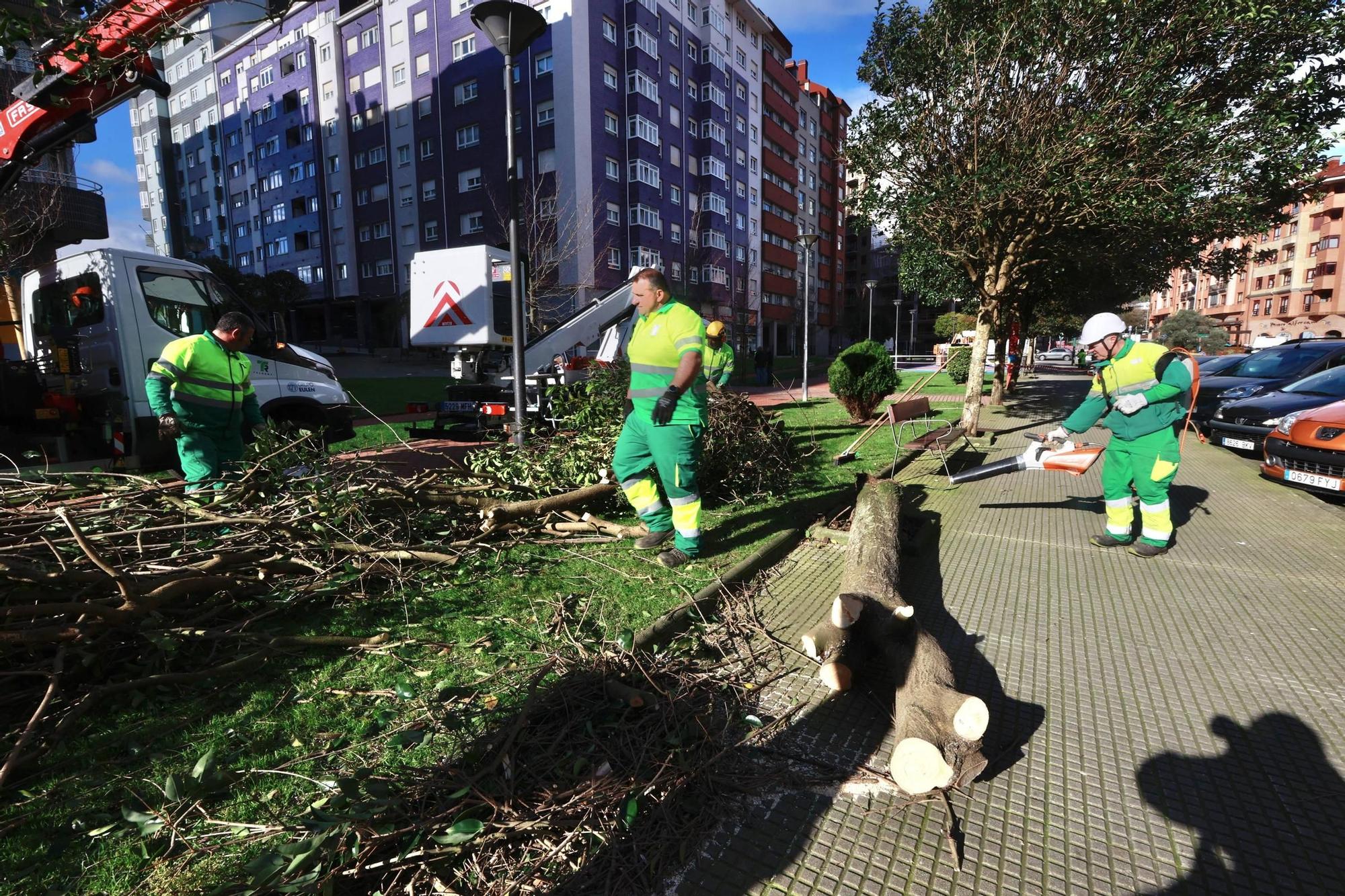 EN IMÁGENES: Los efectos del temporal en la comarca de Avilés