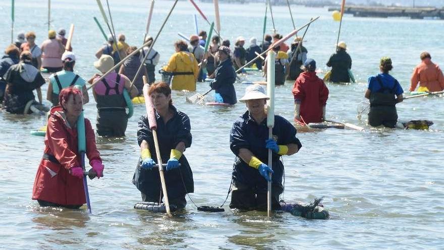 Mariscadoras de Moaña trabajando en la playa de A Xunqueira. // Gonzalo Núñez