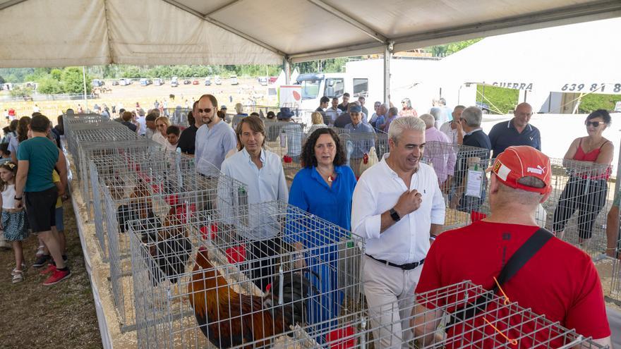 Un milleiro de persoas degustaron no Pino máis de cento cincuenta quilos do prezado galo piñeiro