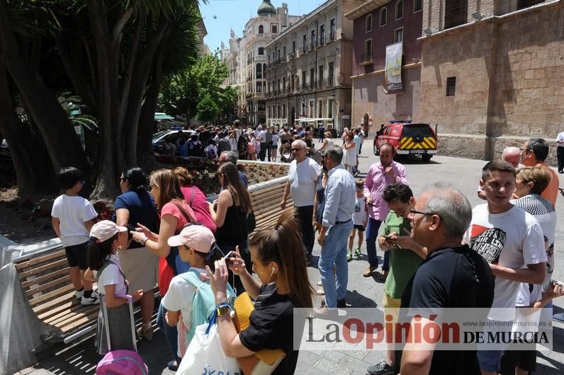 Cae parte del ficus de Santo Domingo en Murcia