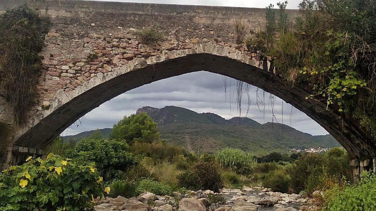 Agonia dels arcs d&#039;Estivella