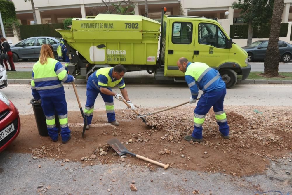 Operarios municipales despejan la calle La Era, en El Limonar.