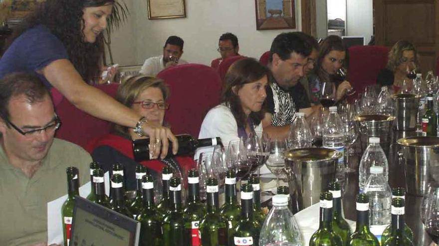 Expertos evalúan la calidad de los vinos genéricos de Toro en la sede del Consejo Regulador.