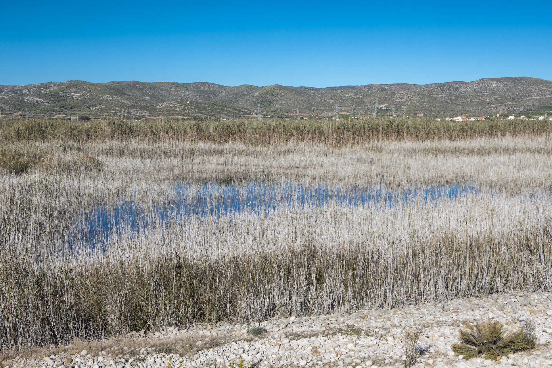 Parque natural del Prat de Cabanes-Torreblanca