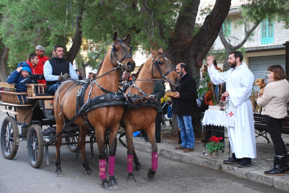 'Beneïdes' de Sant Antoni