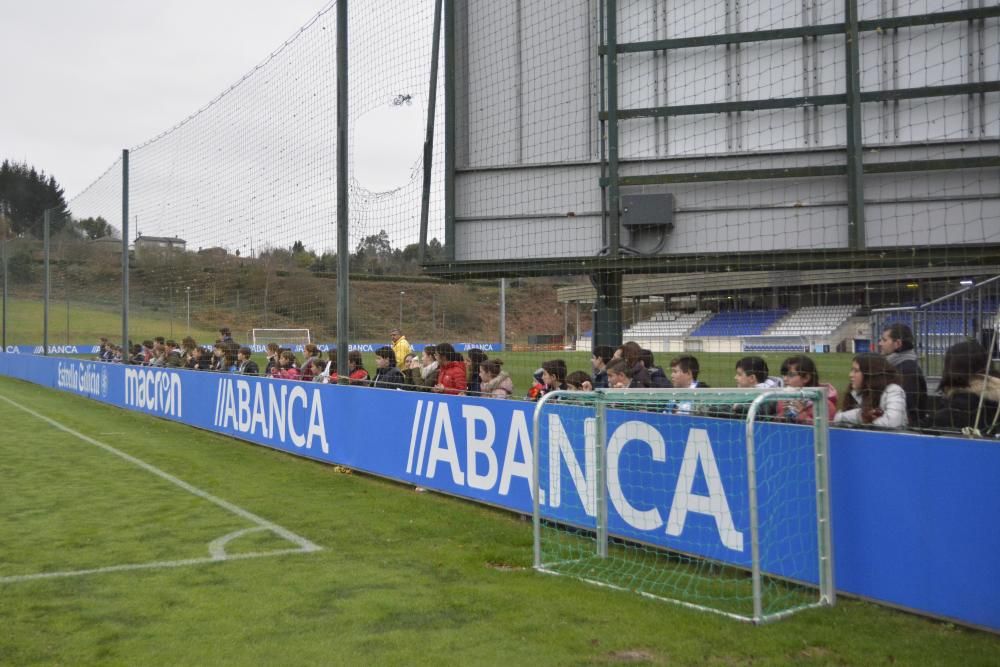 Colegio Fernández Latorre, en Escolas Branquiazuis