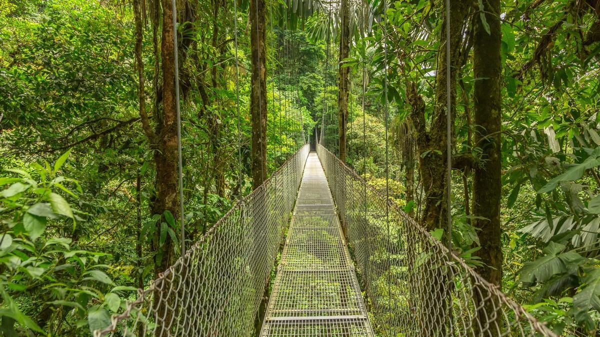 Cinco cosas que no sabías sobre Costa Rica, el país de la Pura Vida 