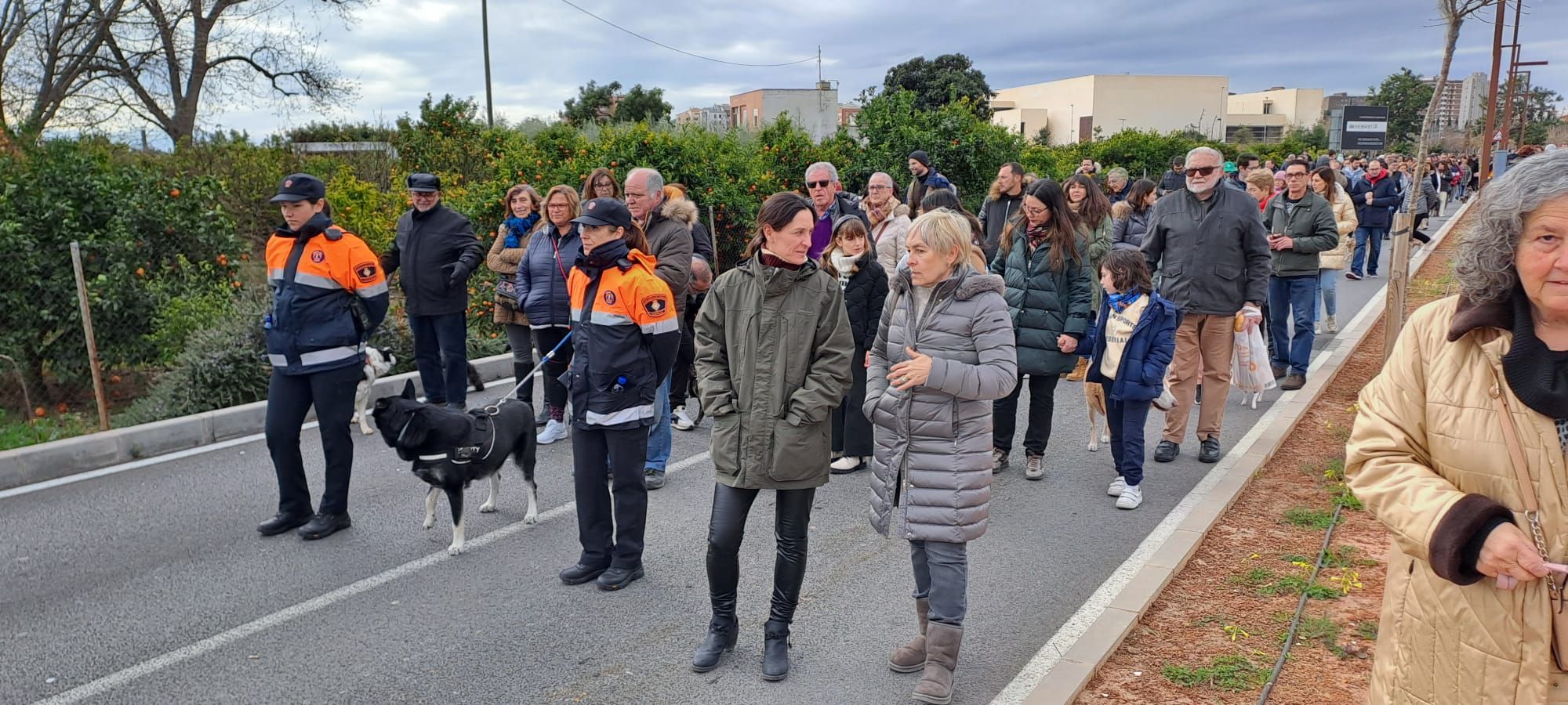 Galería de fotos: Castelló se vuelca con la procesión de Sant Antoni a la Mare de Déu del Lledó