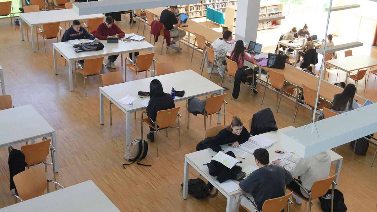 Universitarios estudiando en la biblioteca del campus de Ourense.