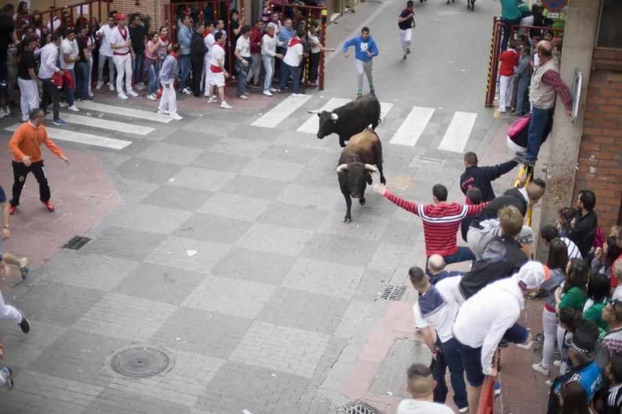 Becerrada, encierros y vaca de la sangría