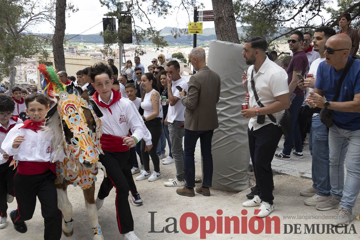 Fiestas de Caravaca | Desfile infantil del Bando de los Caballos del Vino