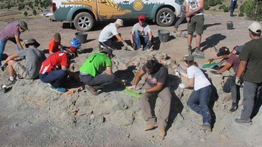 La UVT y Dinópolis muestran las prácticas en excavación de dinosaurios