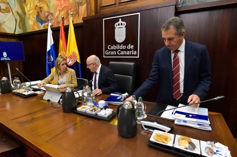 Pleno del Cabildo de Gran Canaria (29/11/19)