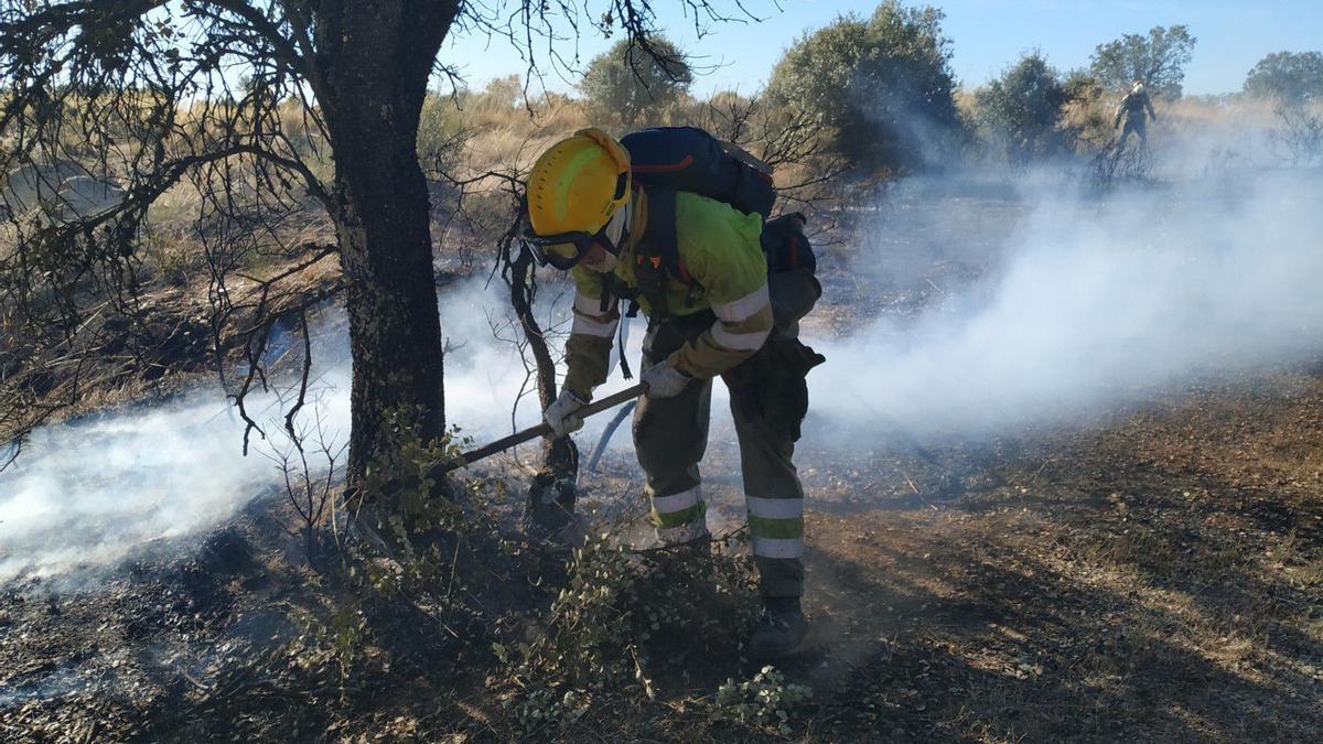 Un incendio en la provincia de Zamora.