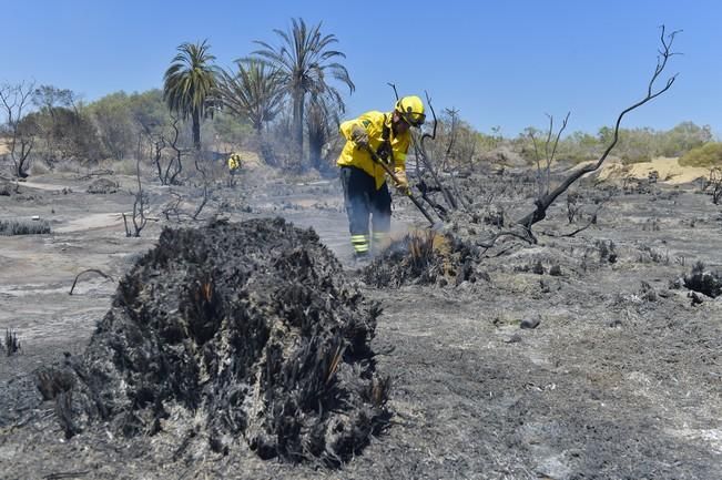 Incendio en la zona de las dunas de Maspalomas