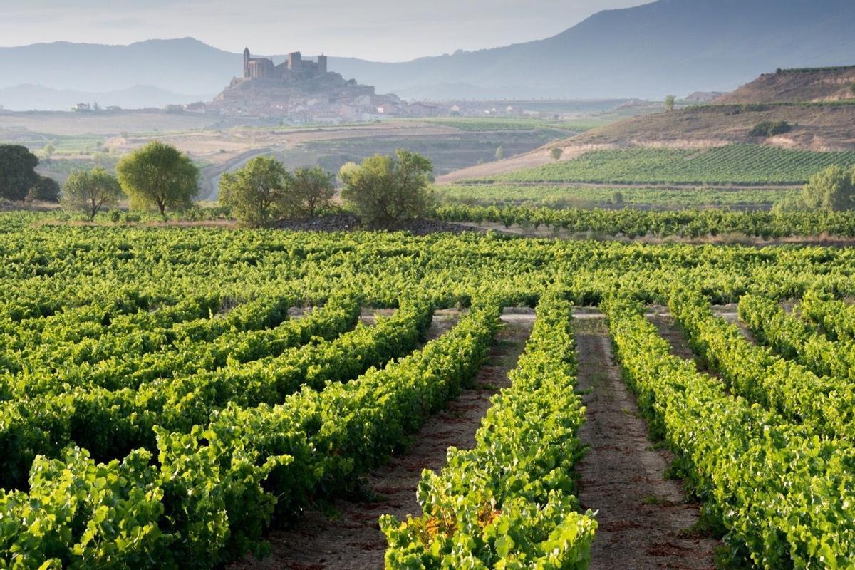 Los mejores lugares para hacer la vendimia, La Rioja (España)