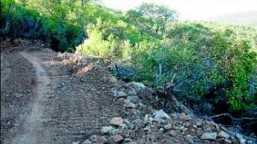 Medio Ambiente niega daños en Monfragüe pero hay fotografías que sí los reflejan