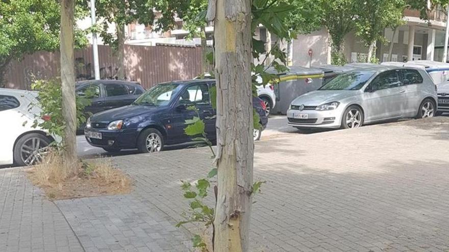 Junts per Manresa reclama un pla de xoc urgent per posar fi a la degradació de les zones verdes de la ciutat