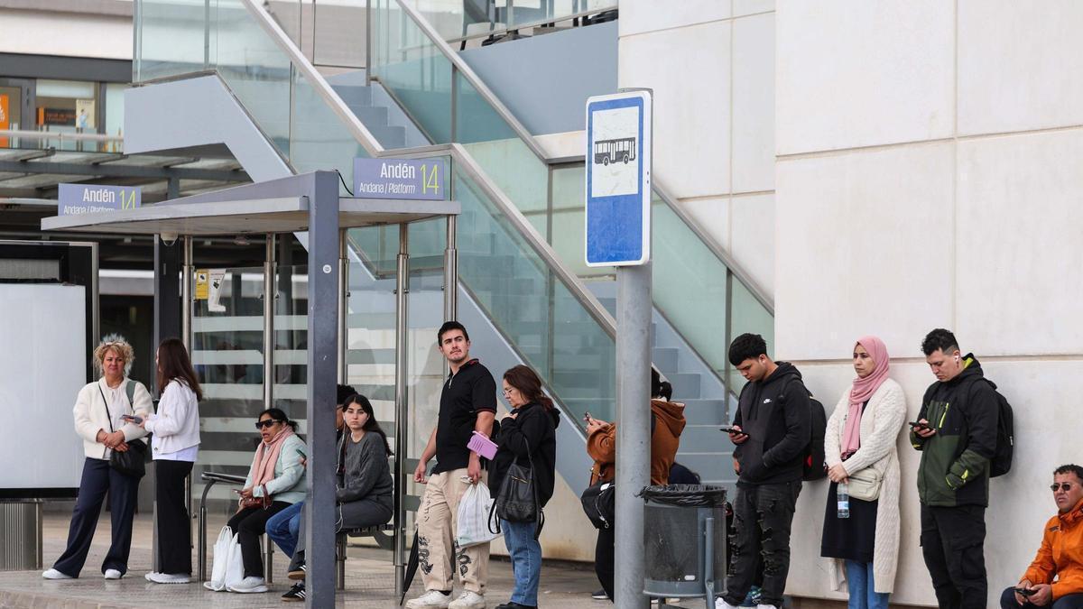 Imágenes del inicio de la nueva contrata de autobuses de Ibiza