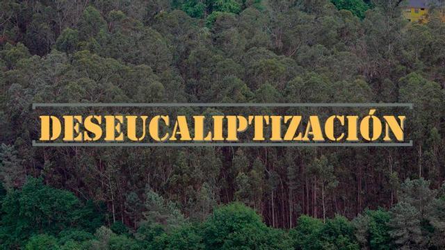 Atréveste a repetir tres veces seguidas a palabra?