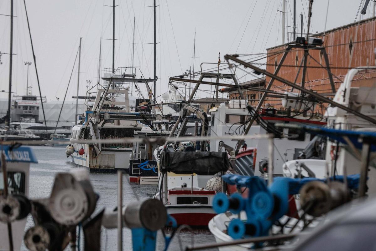 La flota pesquera de Palma ha permanecido hoy amarrada como muestra de protesta