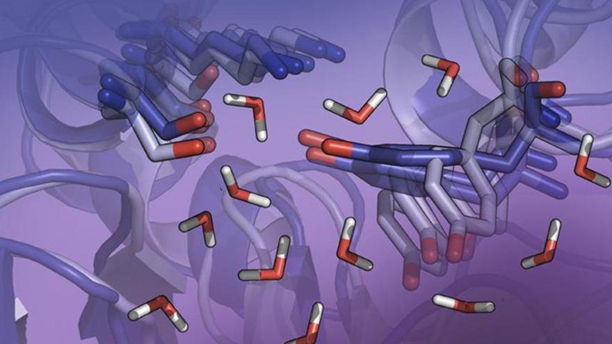 Química i biologia, les fronteres del segle XXI.