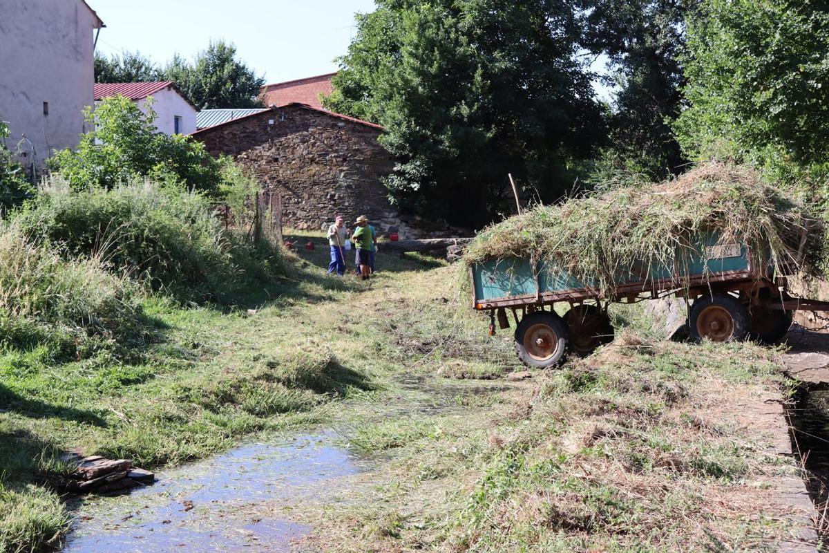 Remolque con maleza de la recogida durante la jornada de limpieza del río Frío.