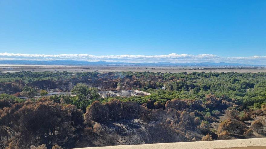 Declarado un conato de incendio en El Saler