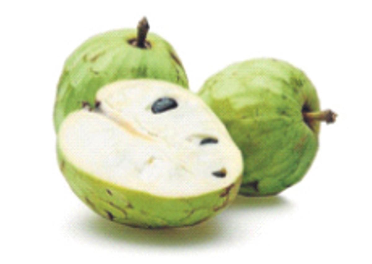 Nuevos cultivos contra el cambio climático