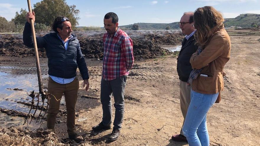 Sadeco incrementa su producción de compost
refinado en un 20%