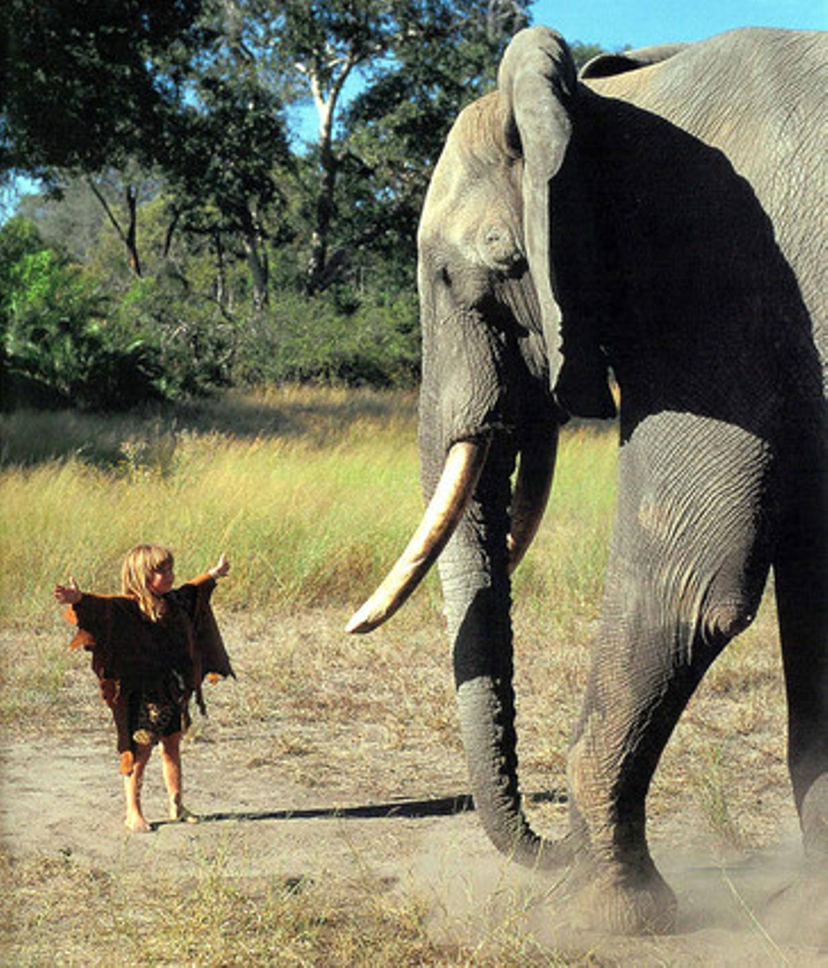 Tippi aixeca els braços davant d’un elefant.