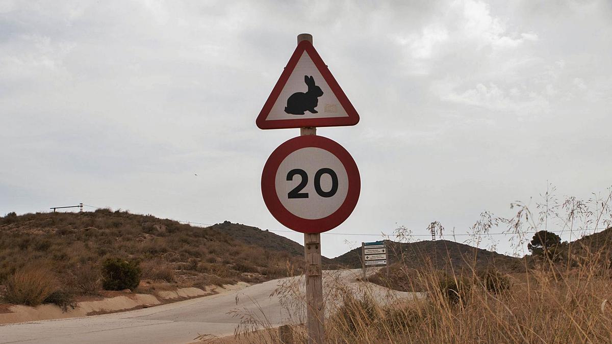 La velocidad máxima en el 
parque es de 20 kilómetros 
por hora.  loyola pérez de villegas