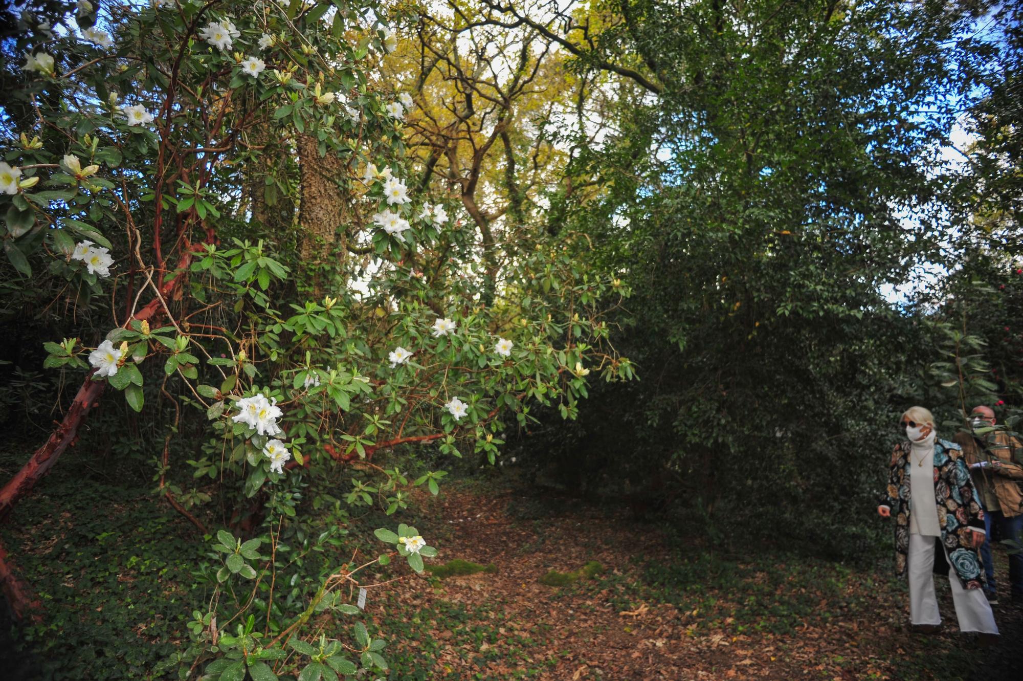 Un paseo por los jardines de Pazo de La Saleta.