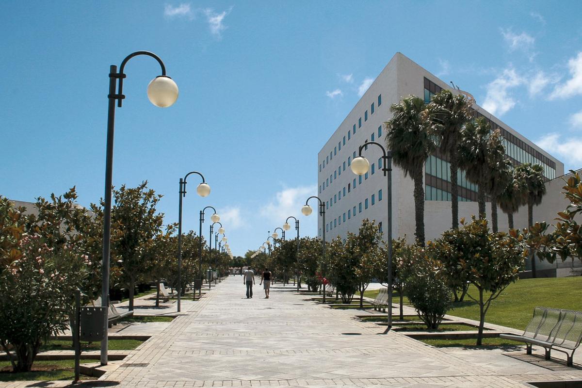 Universidad de La Laguna