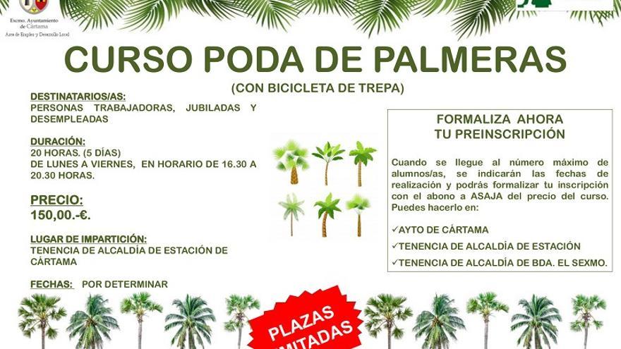 Curso poda de palmeras