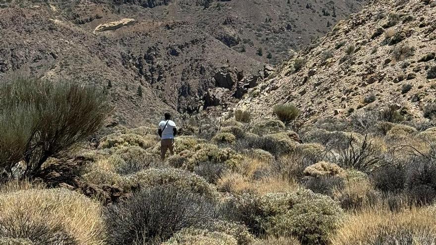 Un apuro no justificado: pillan a una persona miccionando en el Parque Nacional del Teide