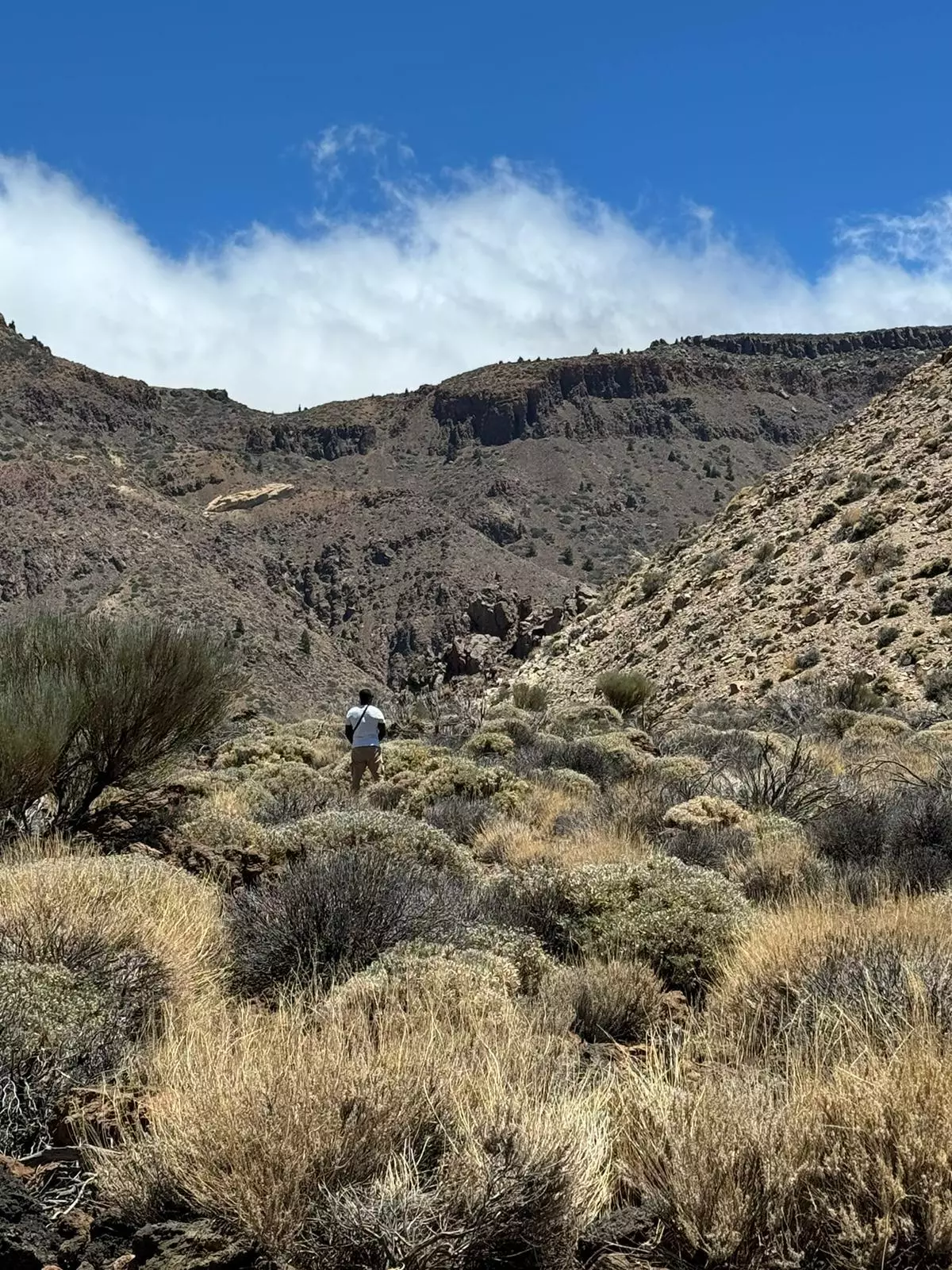 Un apuro no justificado: pillan a una persona miccionando en el Parque Nacional del Teide