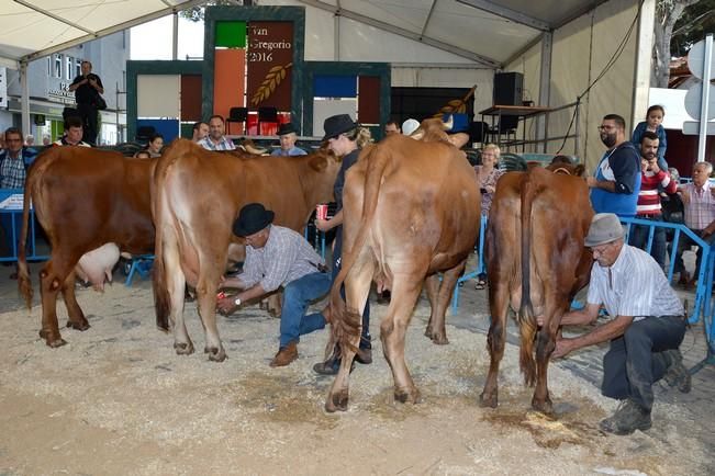 FIESTAS DE SAN GREGORIO